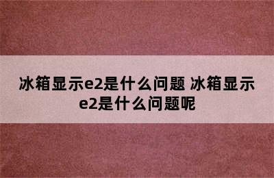 冰箱显示e2是什么问题 冰箱显示e2是什么问题呢